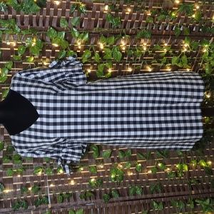 J.Crew Gingham Spring Dress